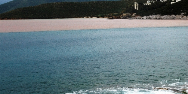 Sel denizin rengini değiştirdi