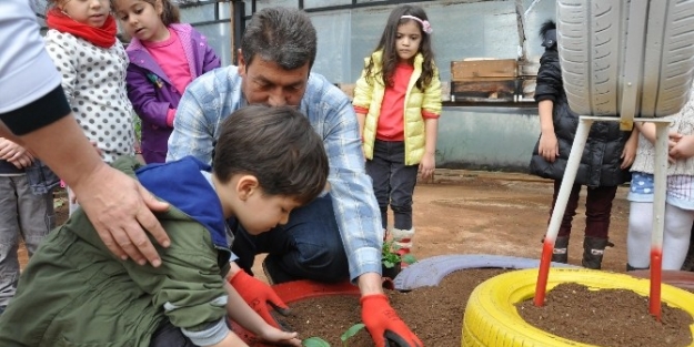 Anaokulu Öğrencileri Mevsimlik Çiçek Dikti