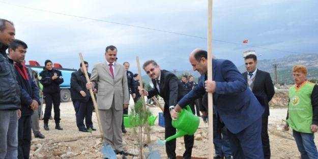 Mersin Pomem Bahçesine 6 Bin 800 Adet Fidan Dikildi