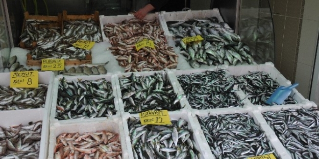 Karadeniz’de Hava Soğudu Balık Fiyatları Arttı
