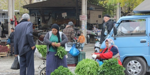 Kış Aylarında Tüketilen Otlara İlgi