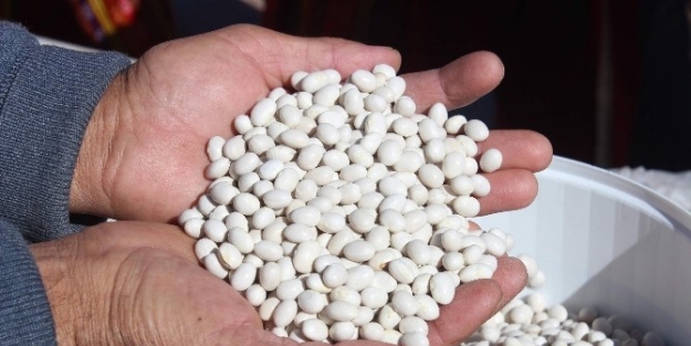 Derbent Tarımda Markalaşmanın Peşinde