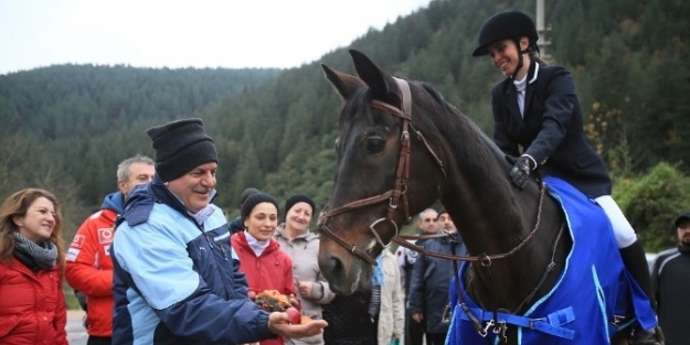 Büyükşehir’den Ücretsiz Atçılık Eğitimi