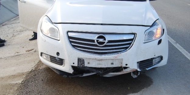 Otomobil Domuza Çarpti