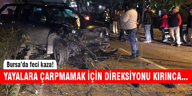 Ağaca ve otomobile çarparak durabildi!