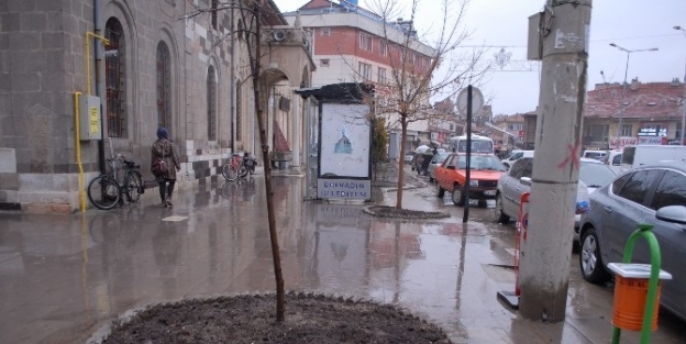 Bolvadin Belediyesinden Çiçeklendirme Çalişmasi
