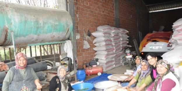 Başkan Kayda, Yol Asfaltlama Çalişmalarini İnceledi