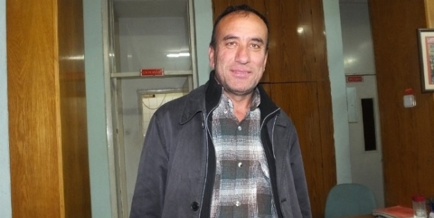 Burhaniye De Yağmurlar Zeytin Hasadını Uzattı