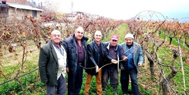 Diker: ’’bağcılar Yüzde 10 Daha Fazla Destek İstiyor’’