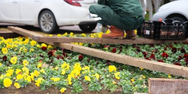 Kocaeli Rengarenk Oldu