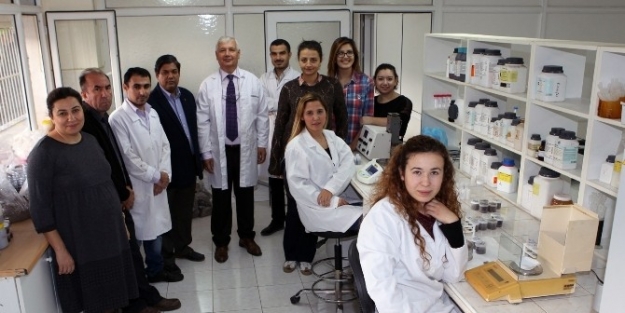 Yabancı Araştırıcılar Çü Laboratuvarlarını Tercih Ediyor