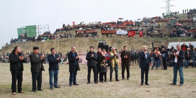 Sarayköy’de Deve Güreşleri Büyük İlgi Topladı