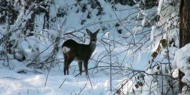 Onları unutmadılar!