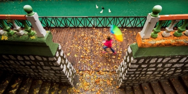 Sonbahar Fotoğraf Yarışması Sonuçları Açıklandı