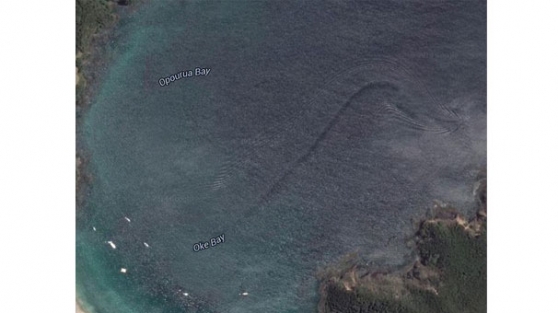 Esrarengiz yaratık korkuttu