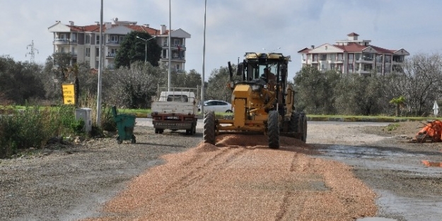 Edremit’ Te Durmak Yok