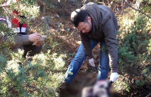 Ormanda Kaybolan Kadının Cesedine Ulaşıldı