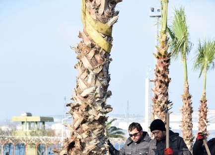 Avcı Ramadan Projesi’nde Yeşil Kuşak Harekatı Başladı