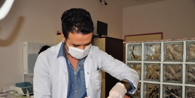 Manisa Adsm’ye 100 Üzerinden 98 Puan