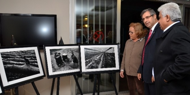 “mevsimlik Tarım İşçileri” Fotoğraf Sergisi