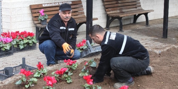 Karabağlar Mis Gibi Çiçek Kokacak