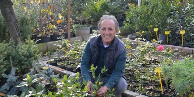 Fındığa Alternatif Ürün Arayışı