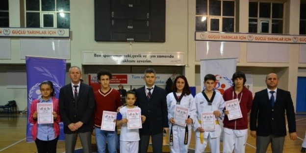 Valilik Kupası Taekwondo Şampiyonasi Yapıldı