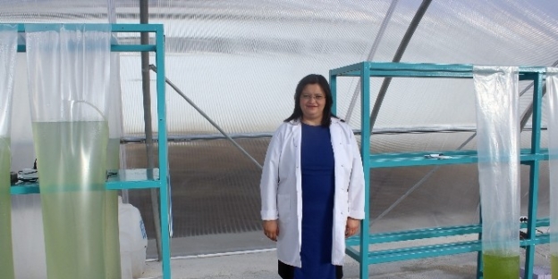 Atatürk Üniversitesi Su Ürünleri Fakültesi Biyodizel Üretecek