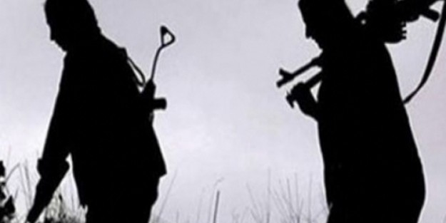 Üst düzey PKK’lı yakalandı