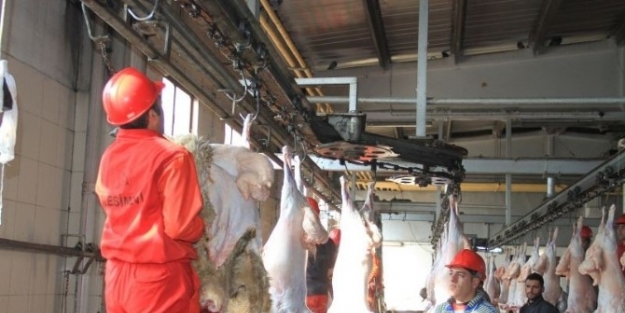 Erzincan Et Ve Tavuk Entegre Tesisi 9 İle Hitap Ediyor