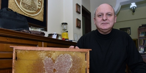 Gümüşhane’de Arılar Aşka Geldi