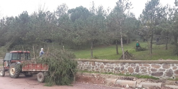 Uzuntarla Mesire Alanına Kış Bakımı