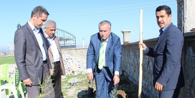 Samsat’ta Ağaçlandırma Çalişmasi