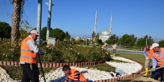 Manavgat’ta Lale Ekimi Başladı