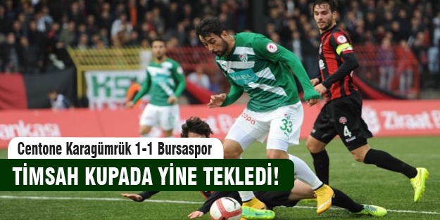 Timsah yine tekledi!