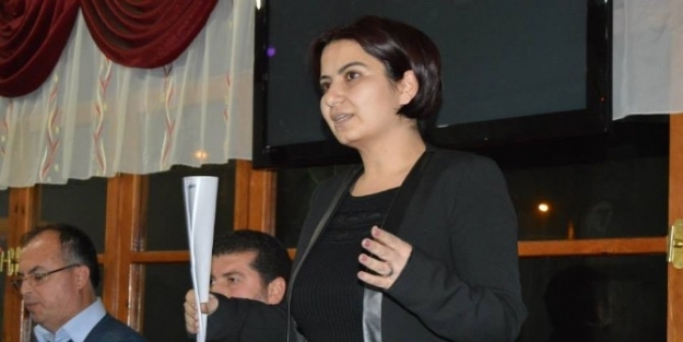 Kiraz İçin Elele Verdiler