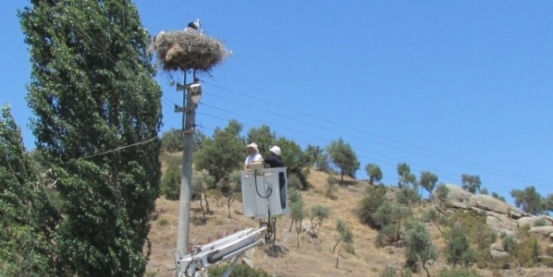 Kuşadası’nda 3 Gün Elektrik Kesintisi Uygulanacak