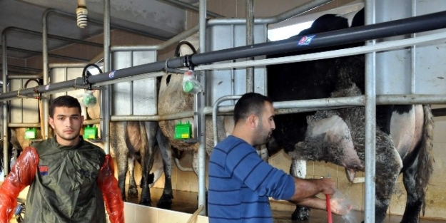 Genç Girişimci ‘alo Süt’ Hizmete Sundu