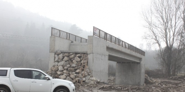 Cildikısık Özlemini Çektiği Köprüsüne Kavuştu