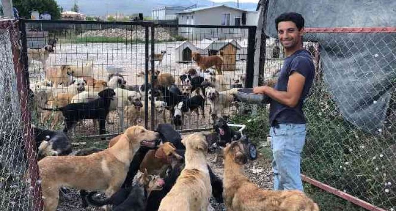 Bursa'da sokak hayvanlarına hayat veren bağış