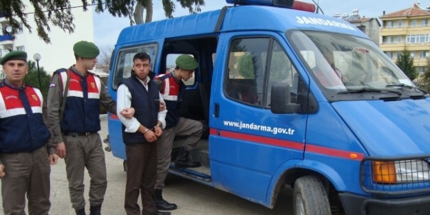 (özel Haber) Domuz Saldırısından Tecavüz Ve Gasp Çikti