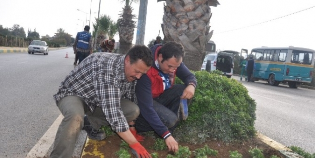 Menderes Çiçeklerle Donatıldı