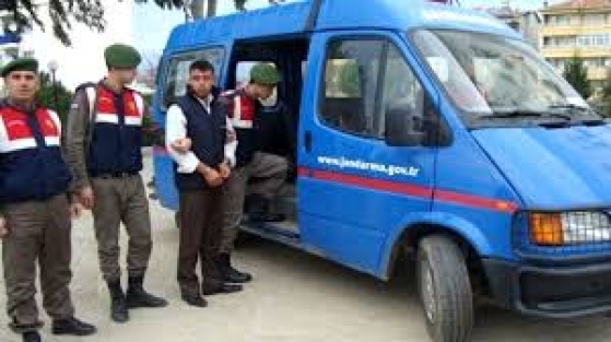 Domuzlar değil tecavüz çıktı