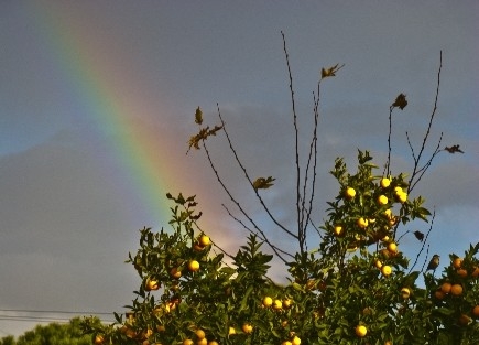Güneş Gökkuşağı İle “merhaba” Dedi