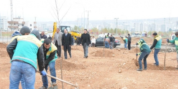 İlçe Nüfusu Kadar Ağaç Dikilecek