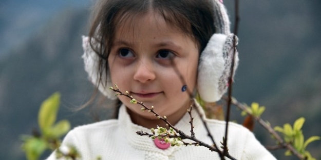 Gümüşhane’de Kışın Ortasında Ağaçlar Çiçek Açtı