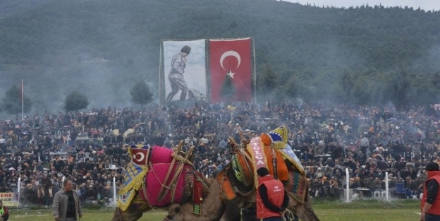 Torbalı Deve Güreşleri 22 Şubat’ta