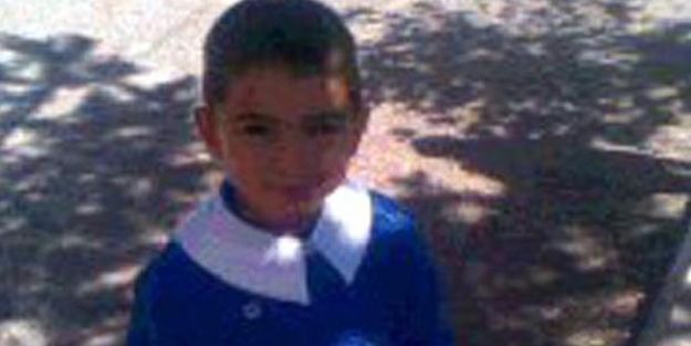 Köpekler 8 yaşındaki çocuğu parçalayarak öldürdüler