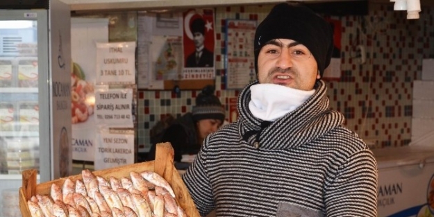 Bandırma’da Balık Fiyatları Düştü
