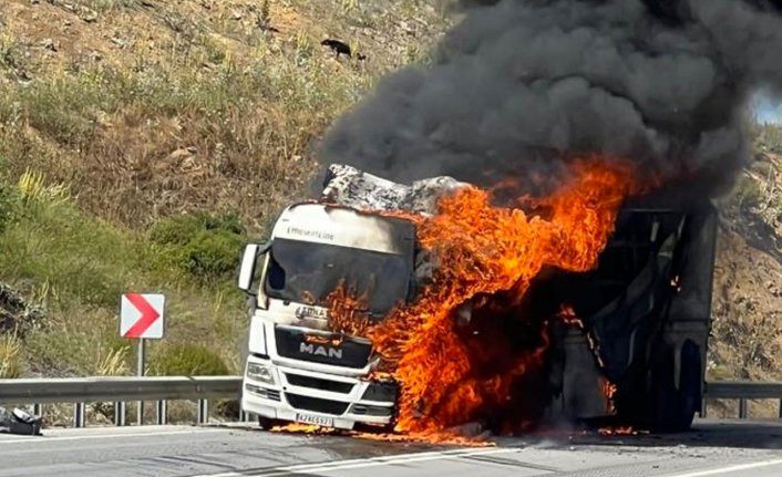 Bursa'da seyir halindeki TIR alev alev yandı!